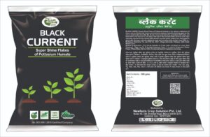 Black Current Super Shine Flakes of Potassium Humate